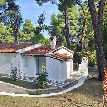 Villa Nefeli Сани Бийч Екстериор снимка