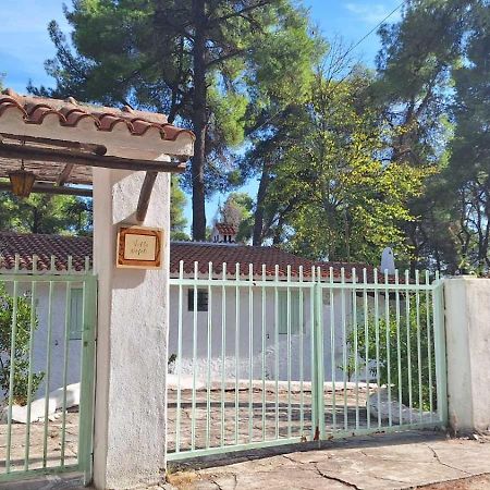 Villa Nefeli Сани Бийч Екстериор снимка
