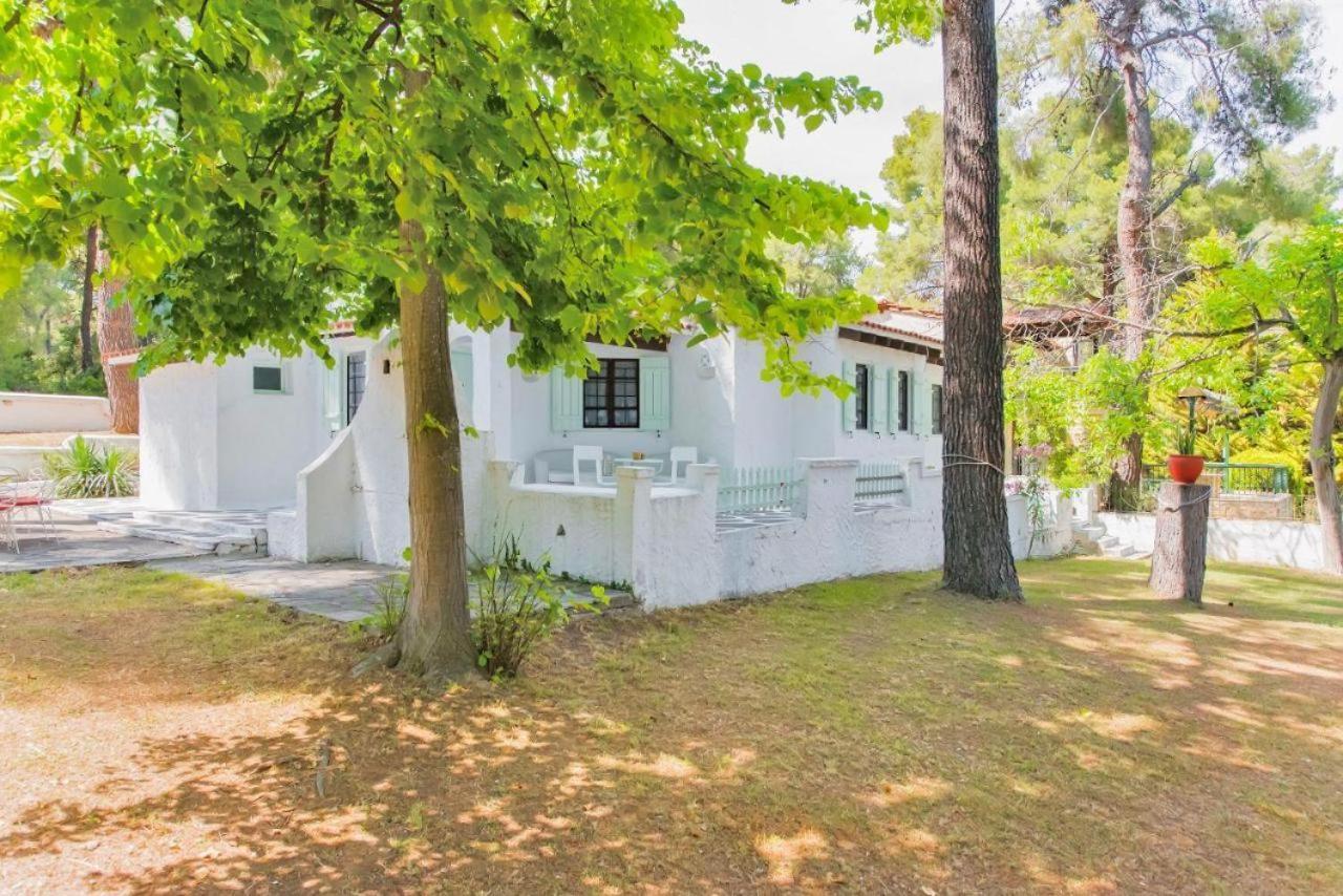 Villa Nefeli Сани Бийч Екстериор снимка