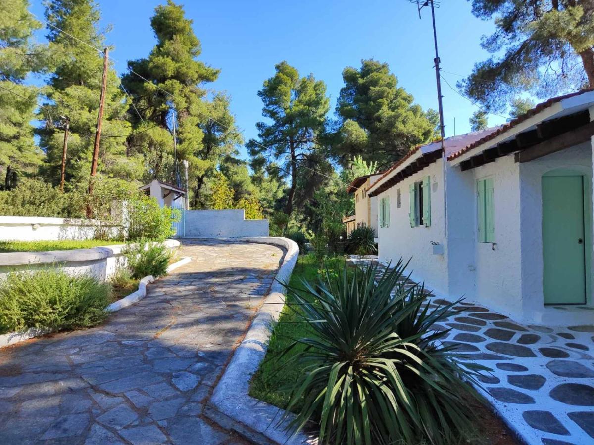 Villa Nefeli Сани Бийч Екстериор снимка