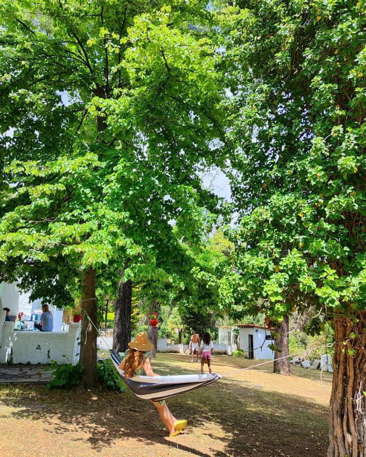 Villa Nefeli Сани Бийч Екстериор снимка