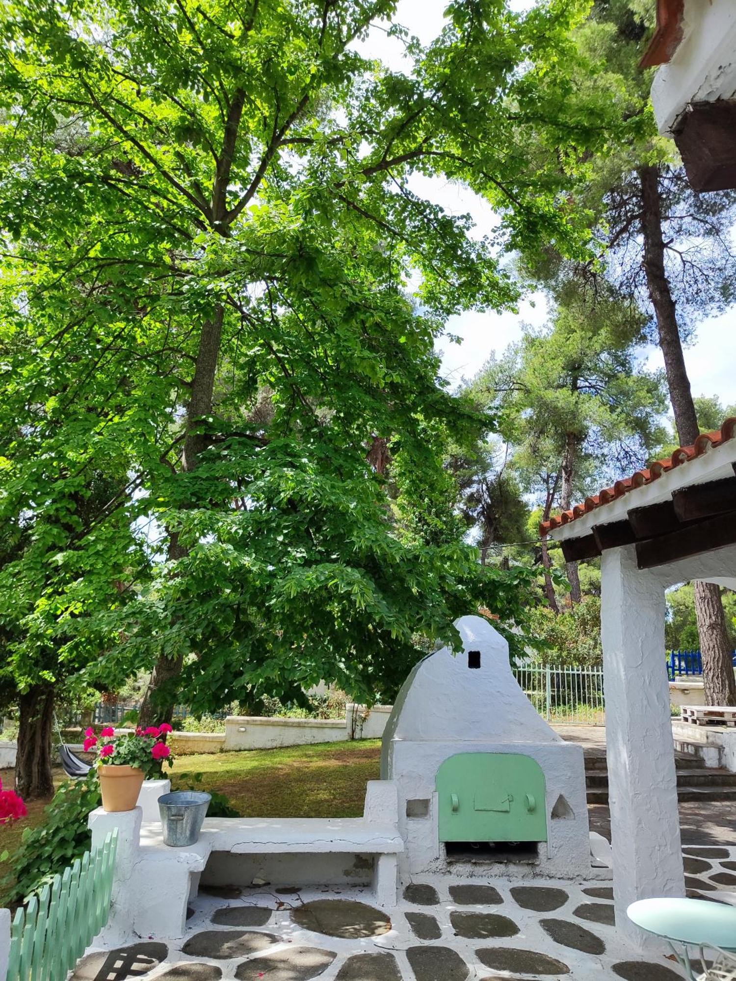 Villa Nefeli Сани Бийч Екстериор снимка